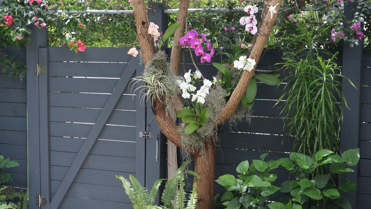 Photo of Outdoor in Coconut Grove