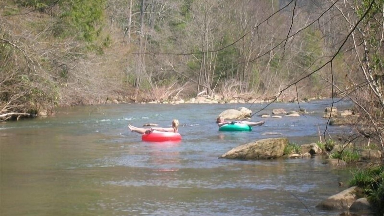 Photo of Others in Saluda