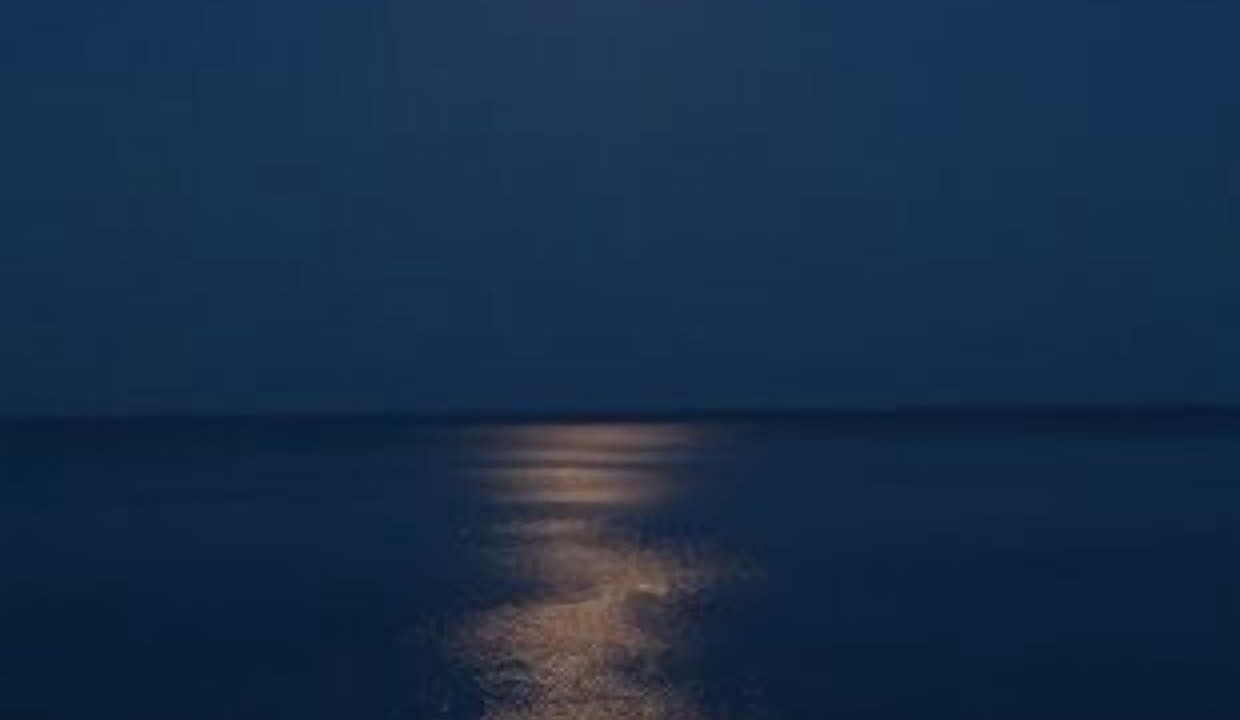 Photo of Others in Cape San Blas