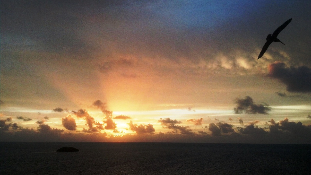 Photo of Others in Tavernier