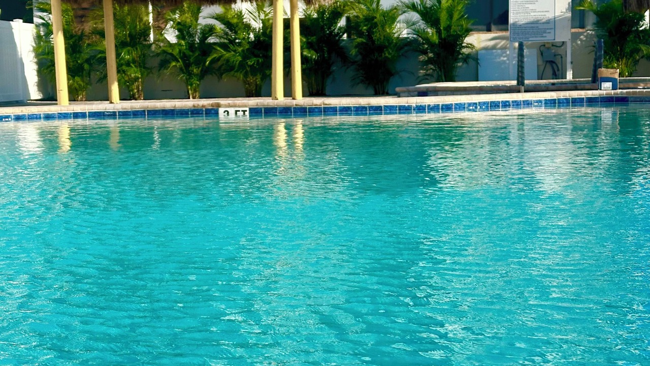 Photo of Outdoor in Redington Shores