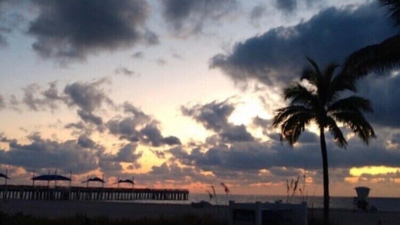 Photo of Others in Pompano Beach