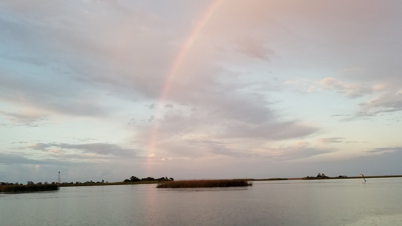 Photo of Others in Apalachicola