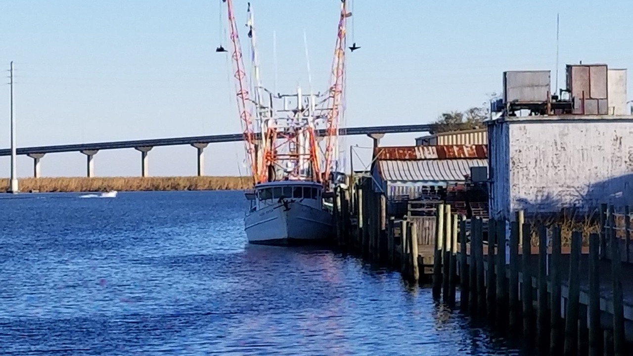 Photo of Others in Apalachicola
