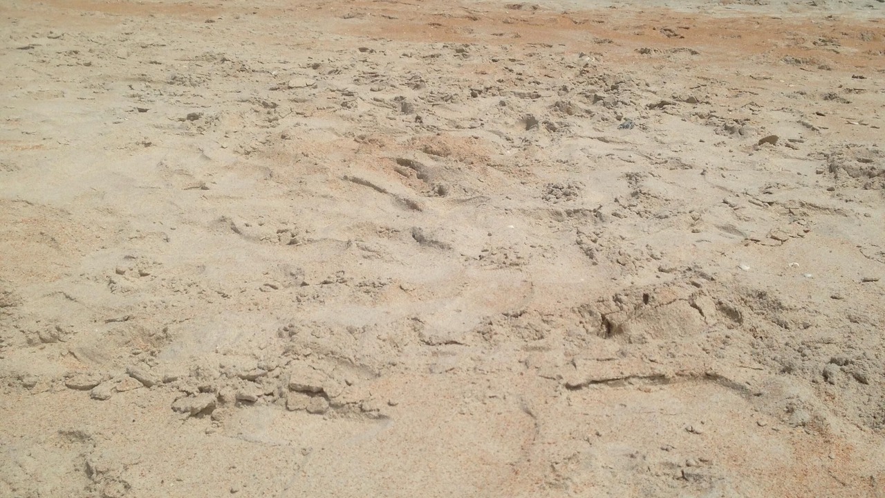 Photo of Others in Flagler Beach
