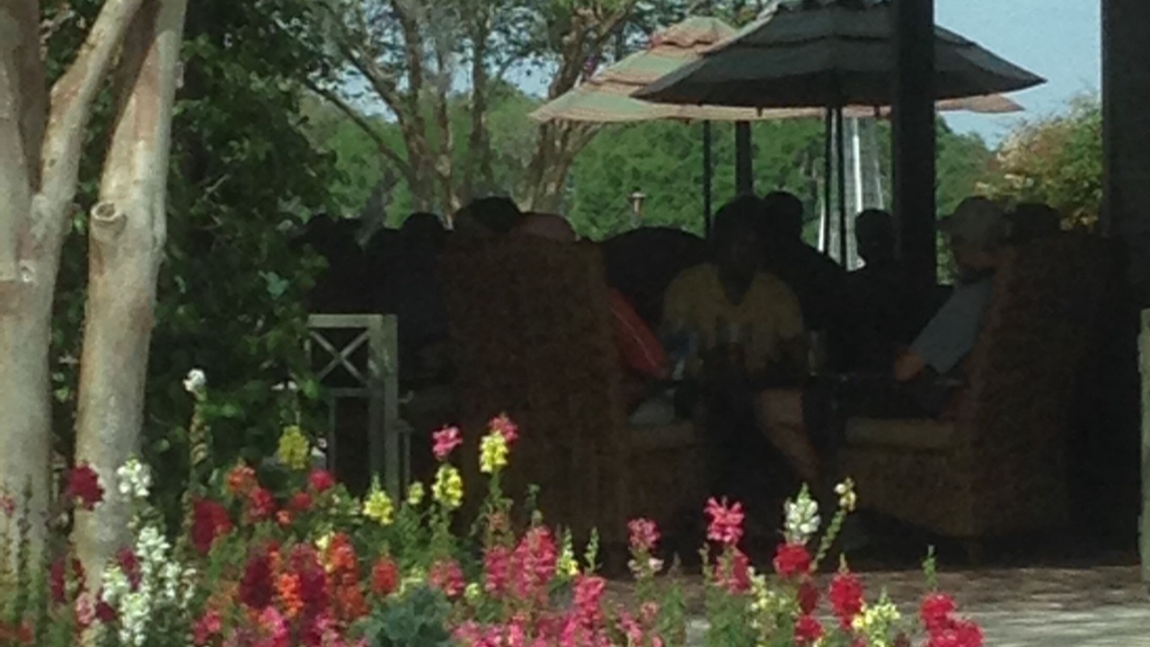 Photo of Others in Lynnhaven