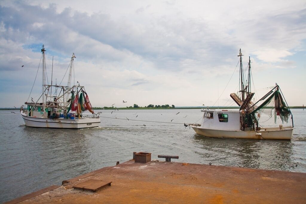 Photo of Others in Historic Downtown Apalachicola