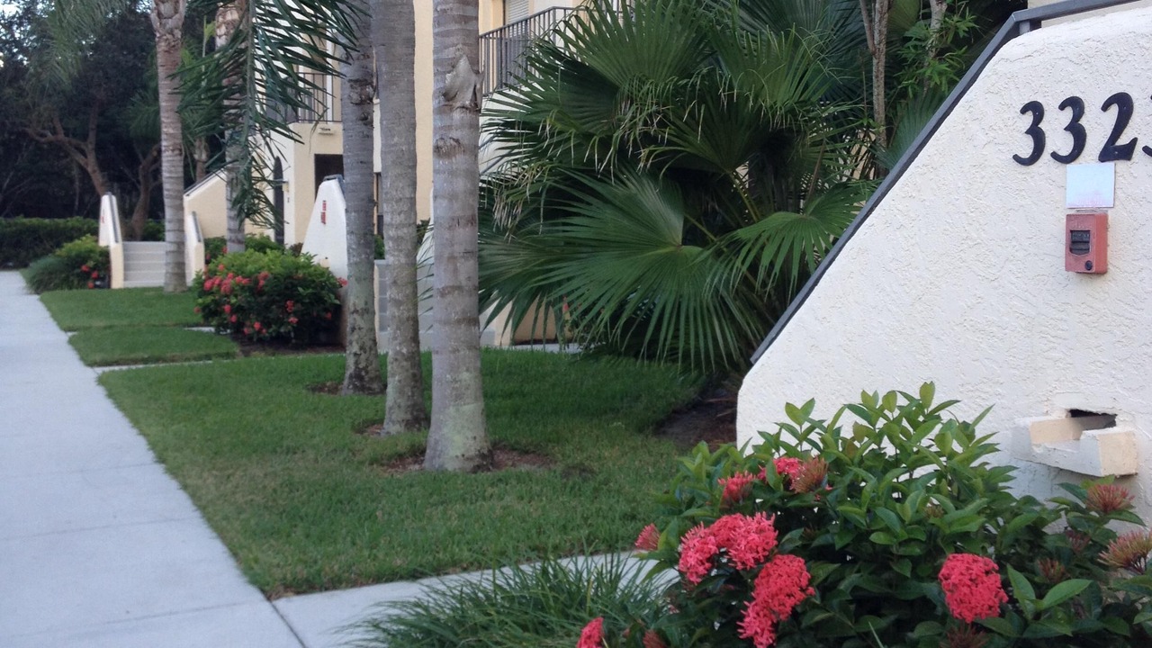 Photo of Outdoor in Central Naples