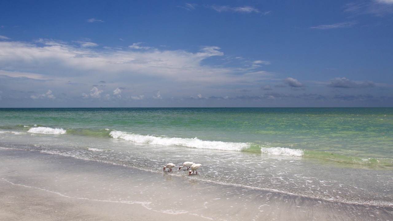 Photo of Others in Redington Shores