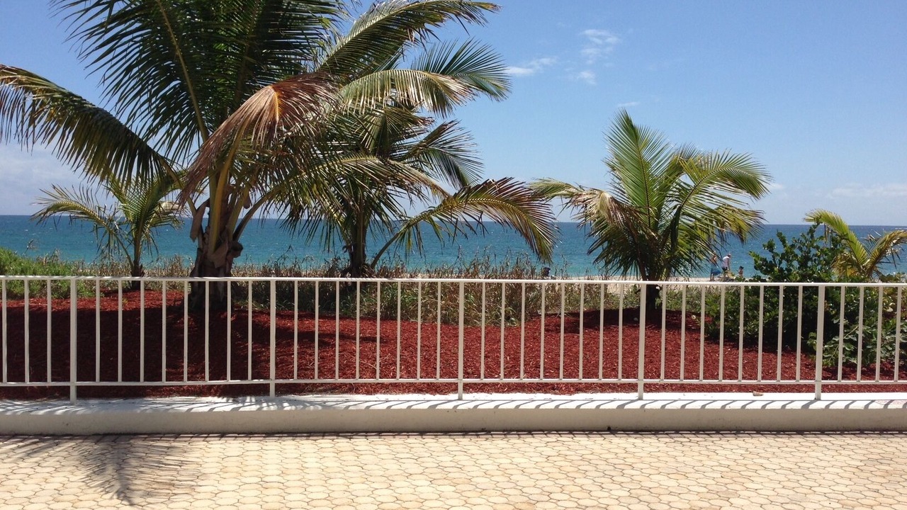 Photo of Outdoor in Lauderdale-by-the-Sea