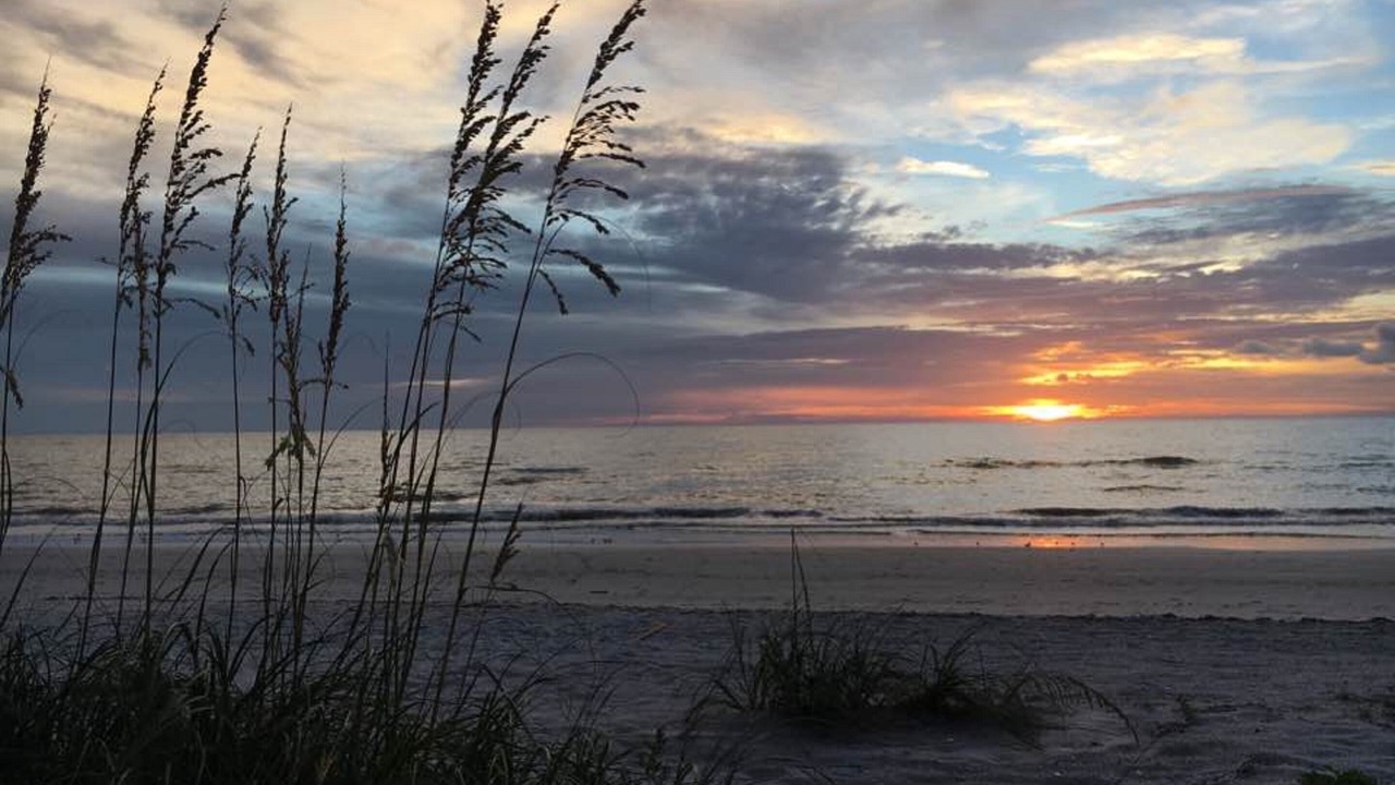 Photo of Others in Belleair Beach