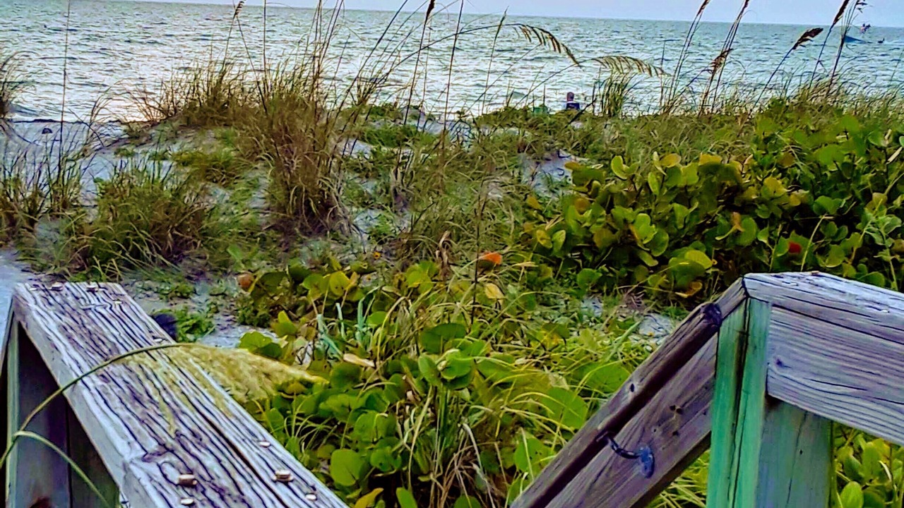 Photo of Outdoor in Belleair Beach