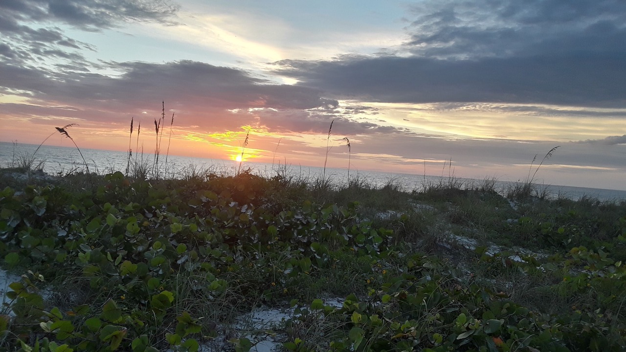 Photo of Others in Belleair Beach