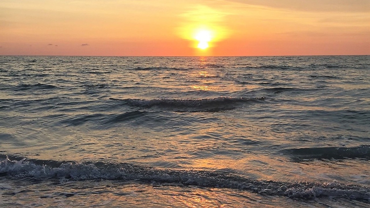 Photo of Others in Belleair Beach