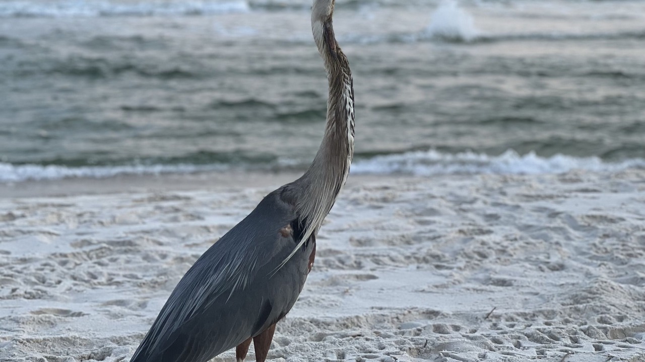 Photo of Others in Fort Morgan