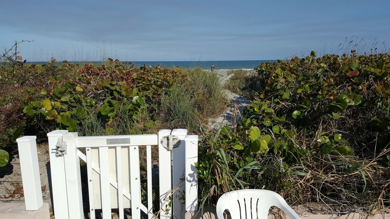 Photo of Others in Port Canaveral