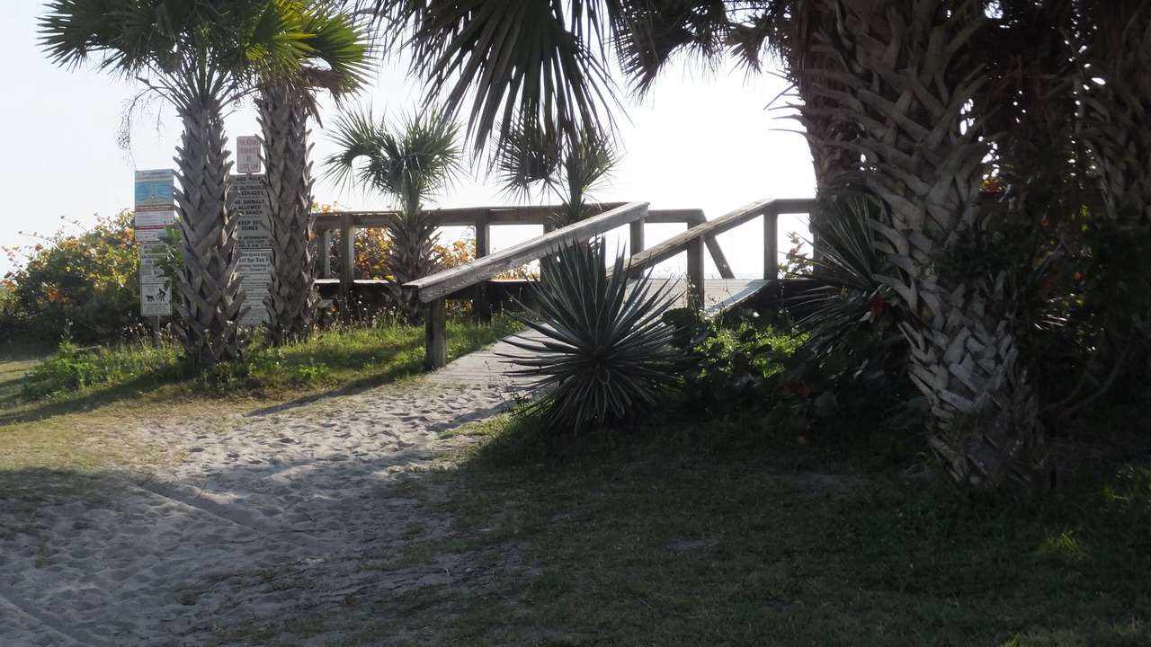 Photo of Others in Port Canaveral
