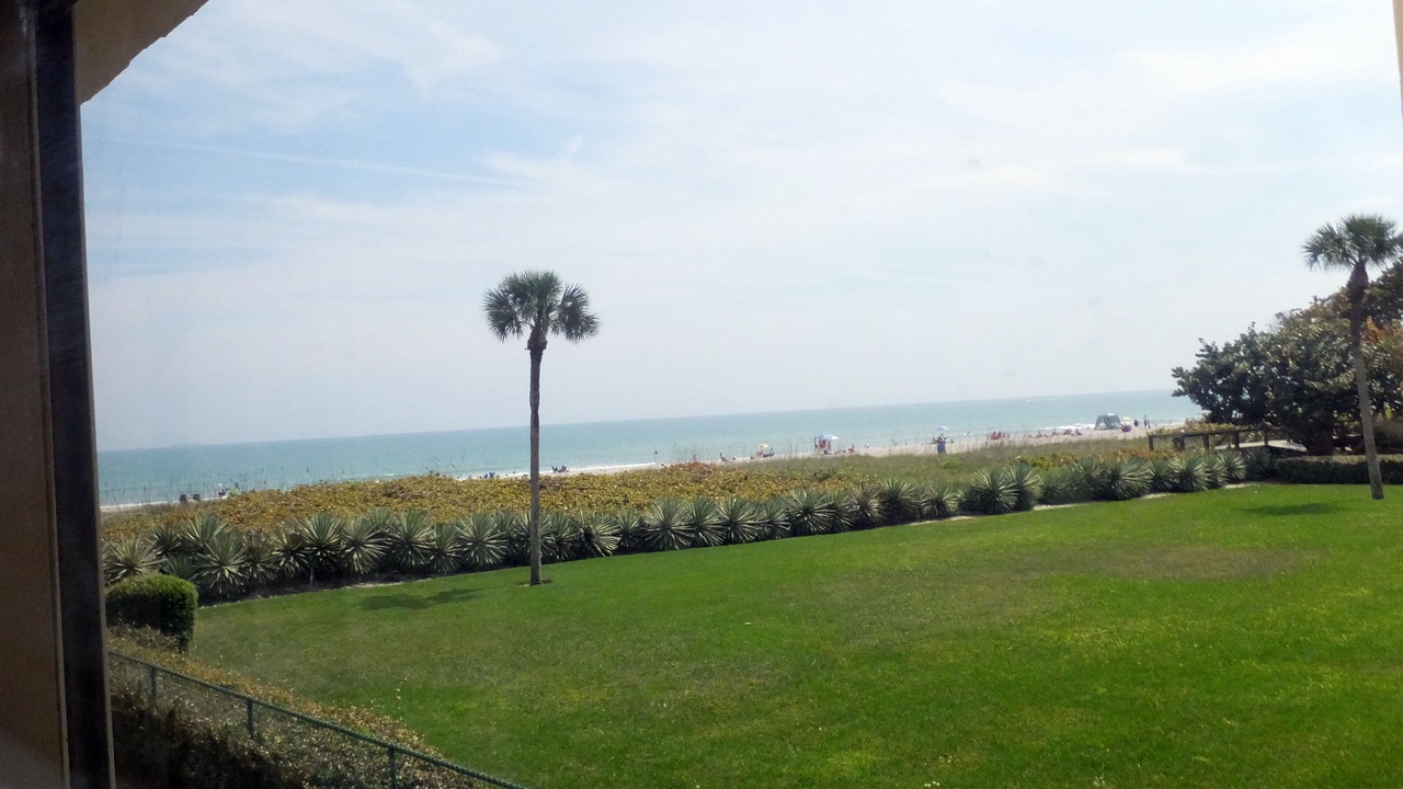 Photo of Others in Port Canaveral