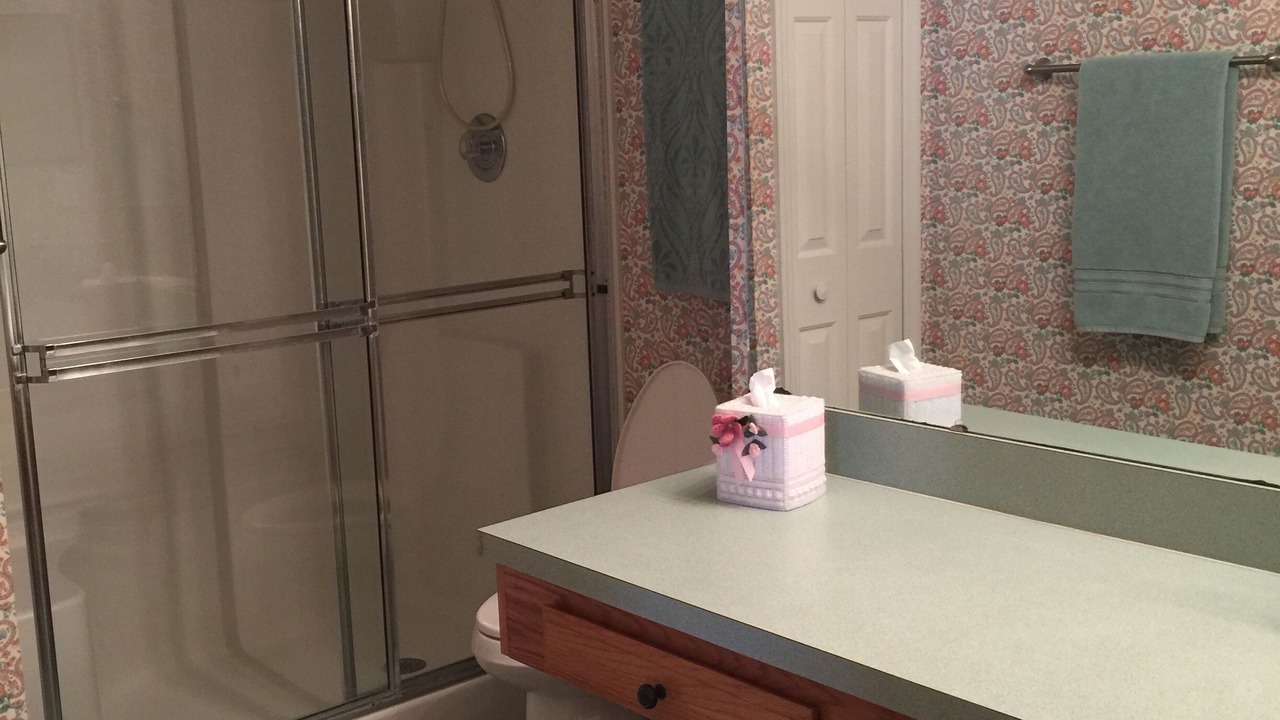 Photo of Bathroom in Mount Dora