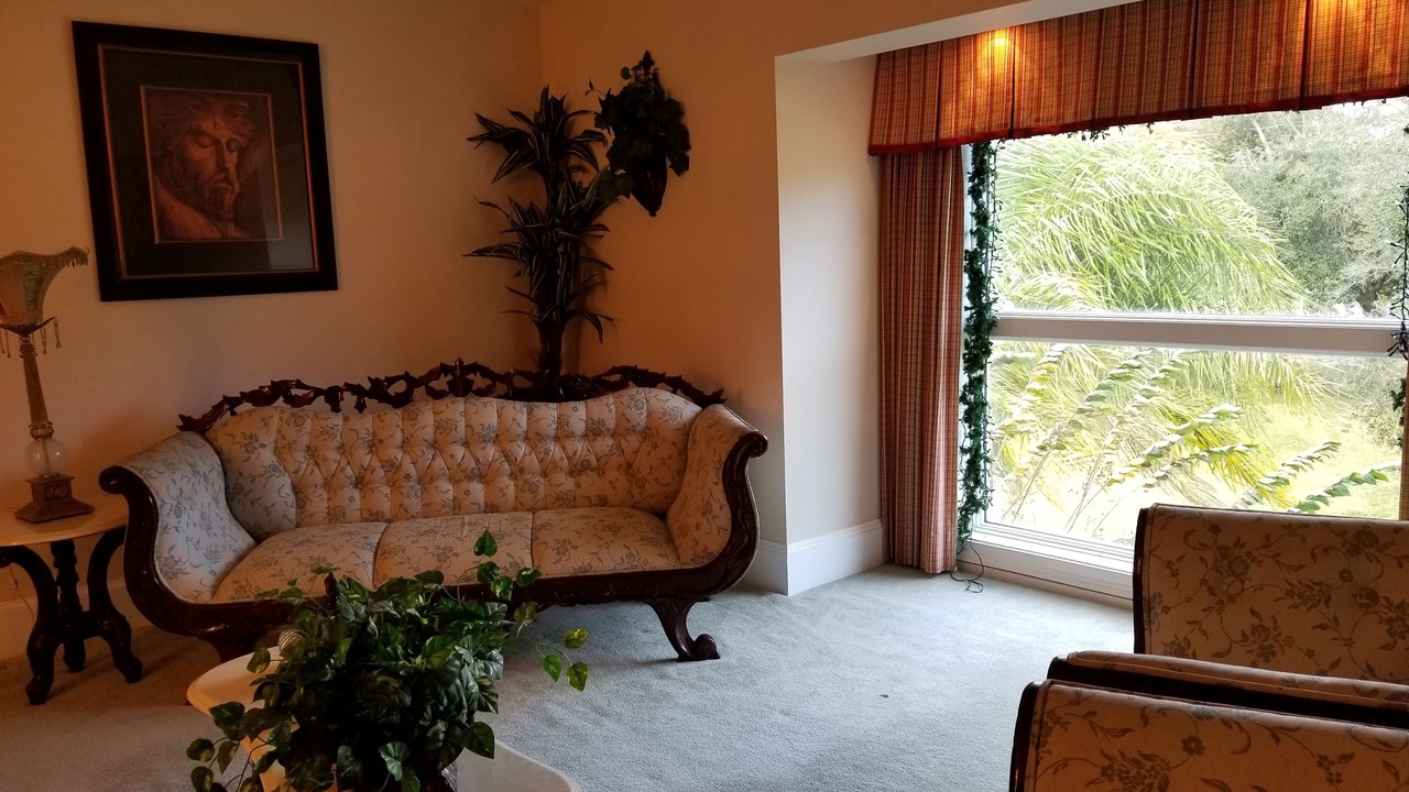 Photo of Livingroom in Lutz