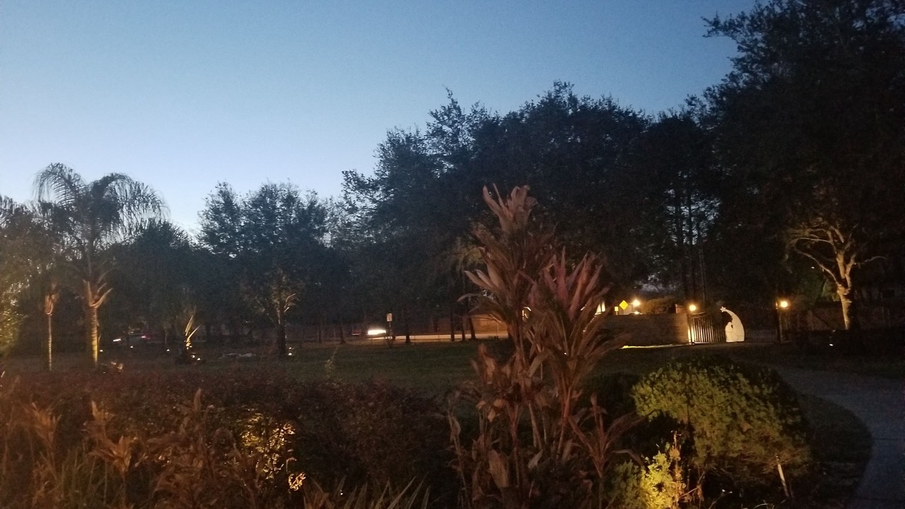 Photo of Outdoor in Lutz