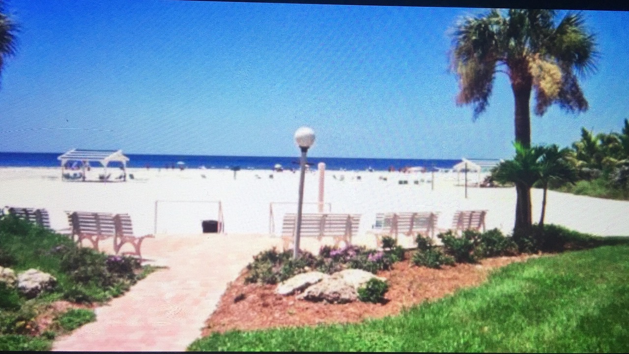 Photo of Others in Siesta Key