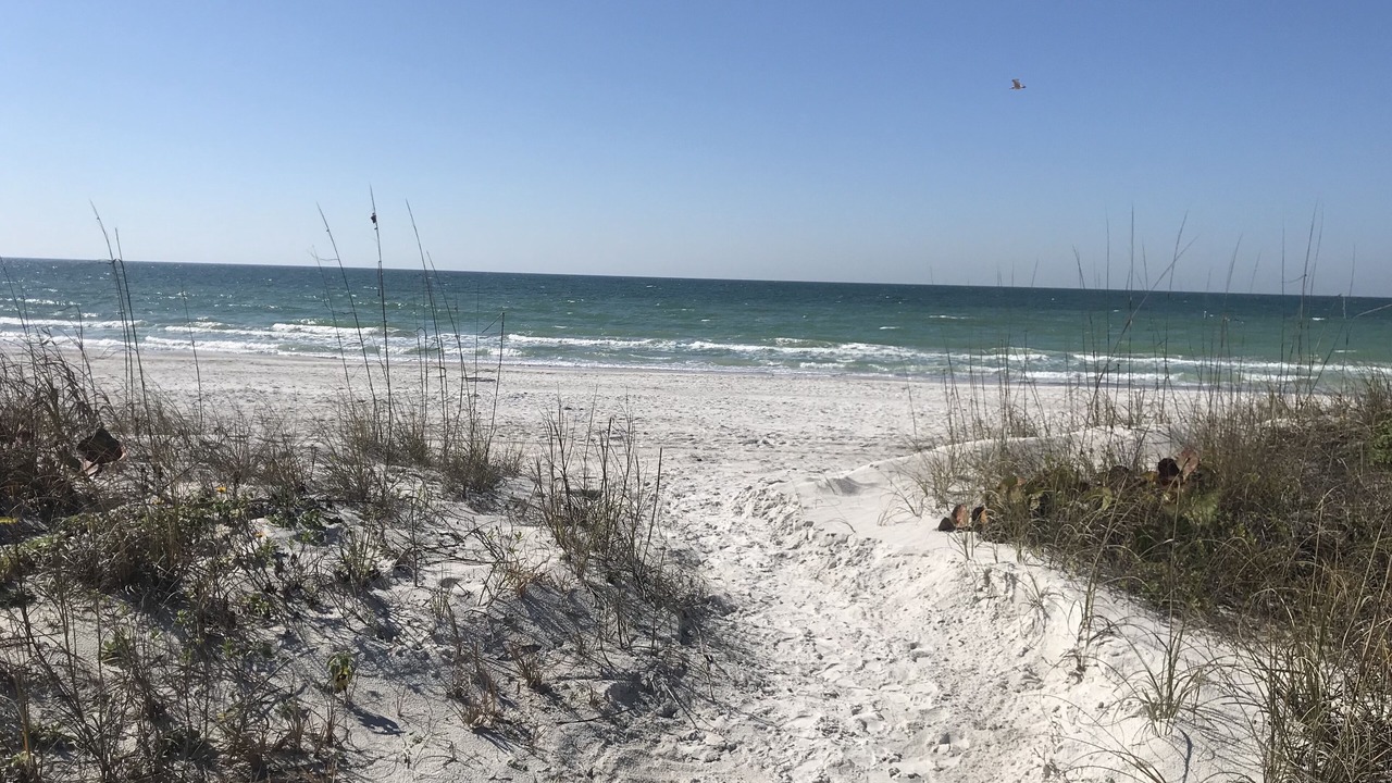 Photo of Others in Indian Rocks Beach