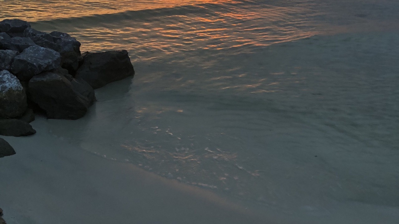 Photo of Others in Navarre Beach