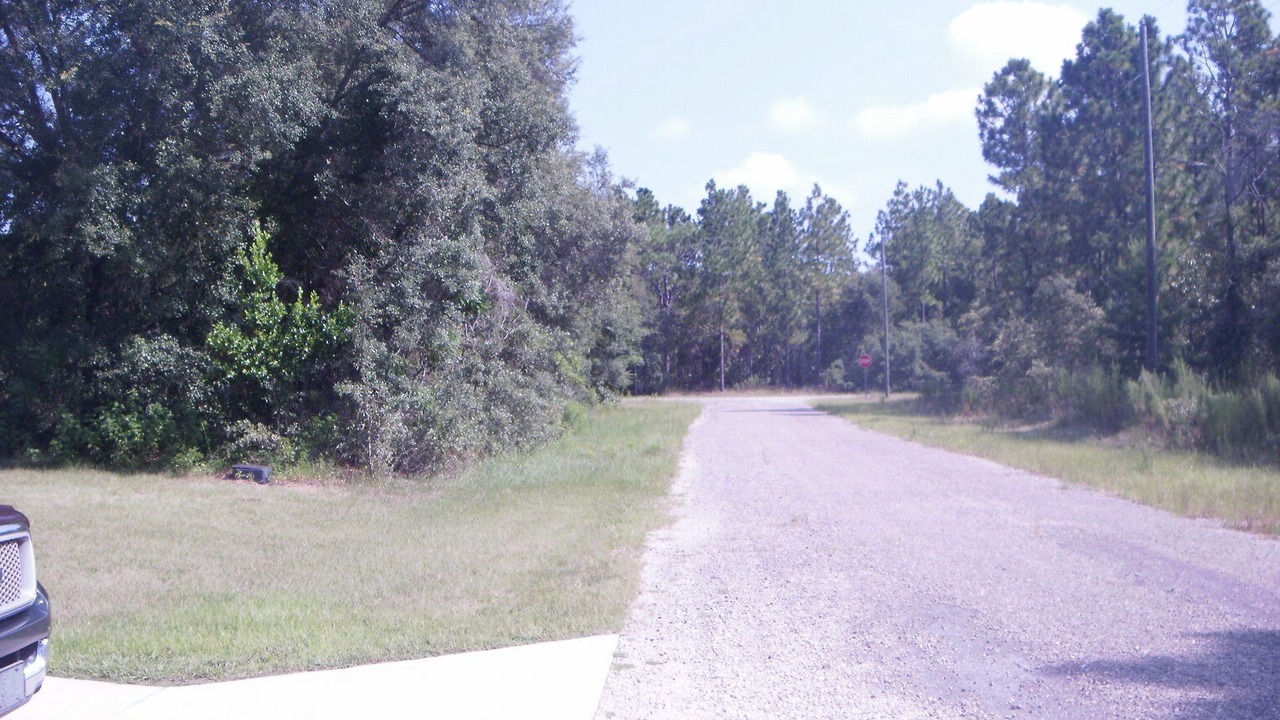 Photo of Others in Citrus Springs