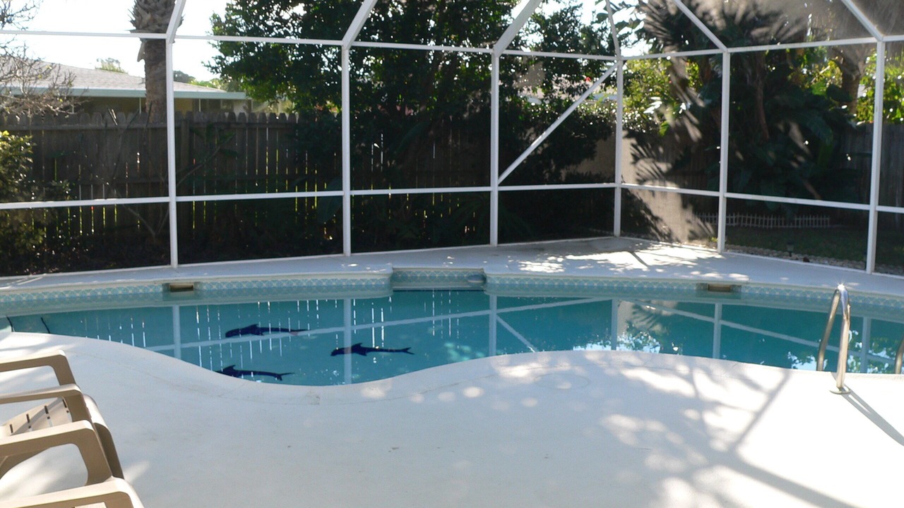 Photo of Outdoor in Ormond Beach
