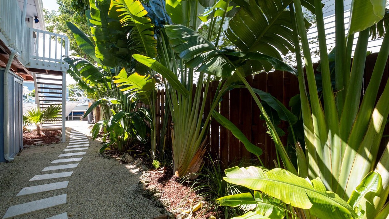 Photo of Outdoor in Indian Waterways