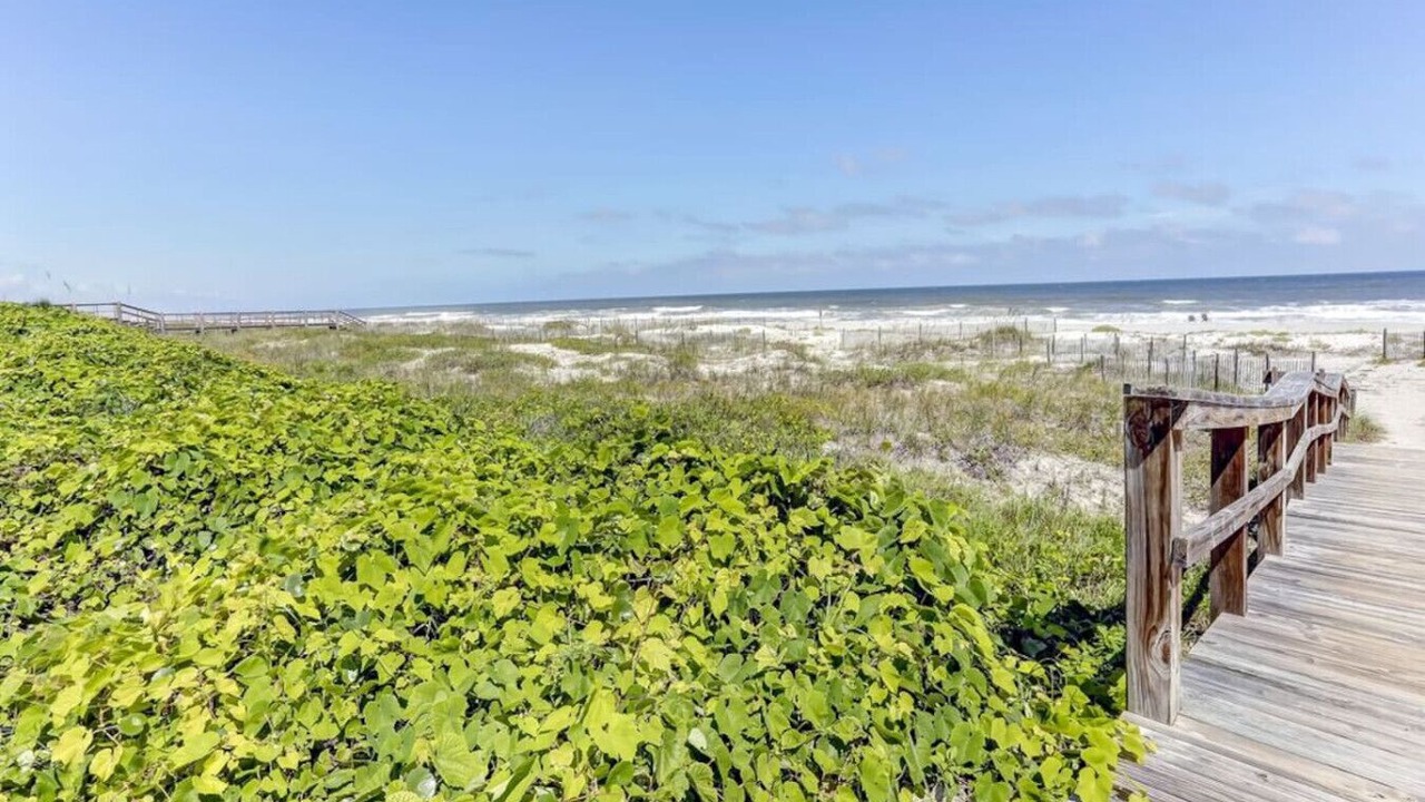 Photo of Others in Fernandina Beach
