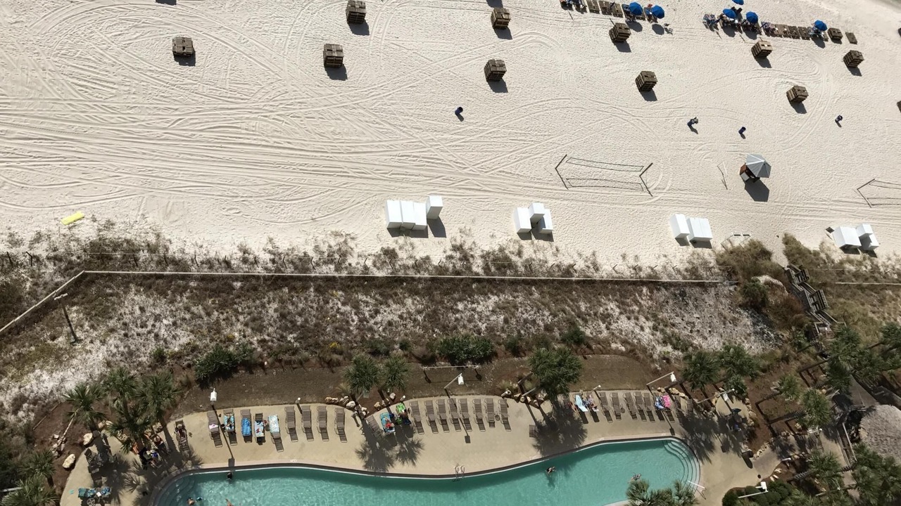 Photo of Others in Panama City Beach
