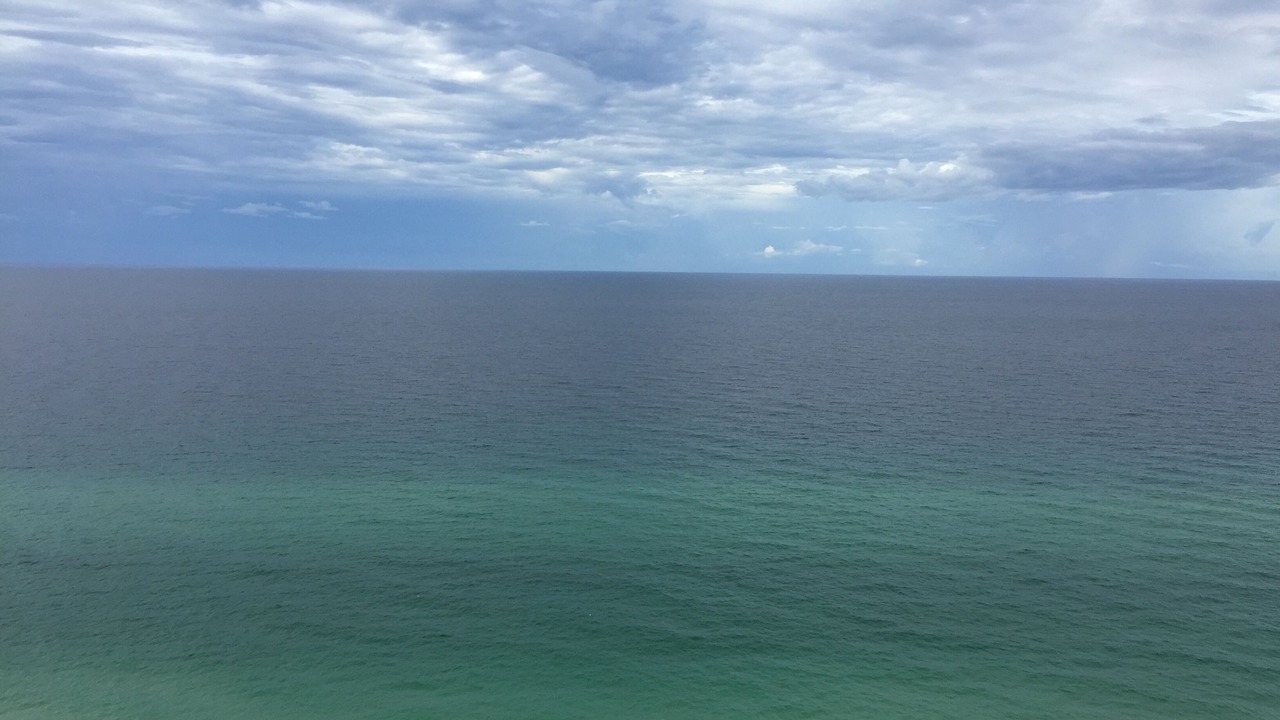 Photo of Others in Panama City Beach