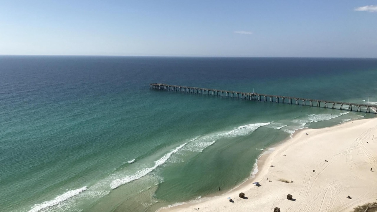 Photo of Others in Panama City Beach