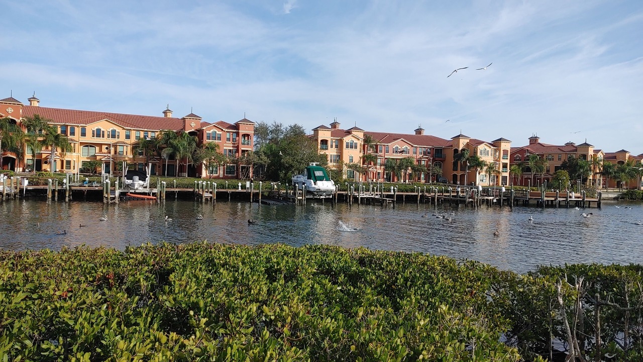 Photo of Others in Clearwater
