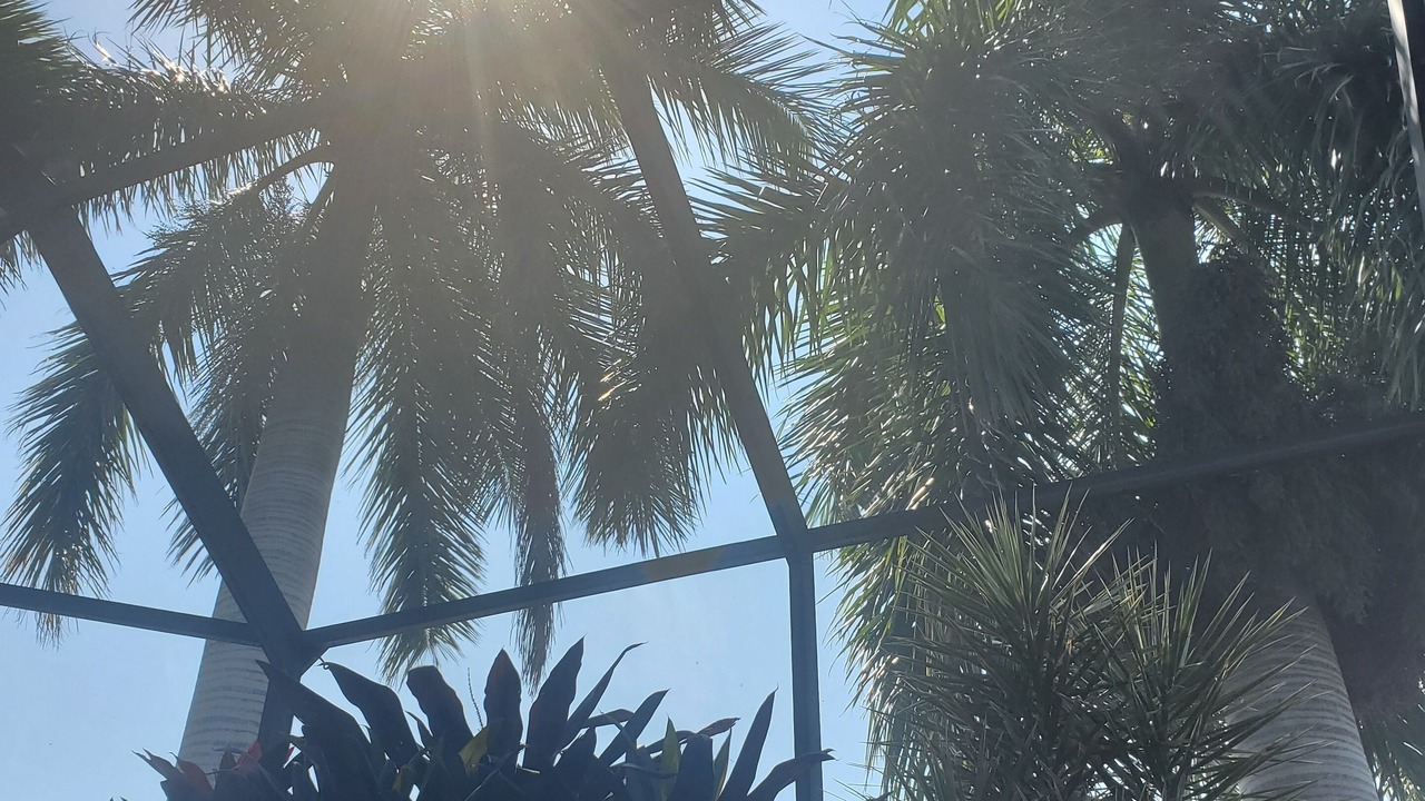 Photo of Outdoor in Yacht Club
