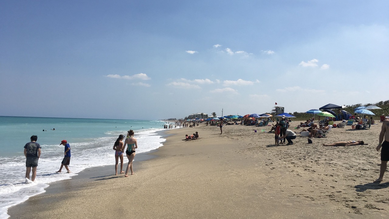 Photo of Others in Jensen Beach