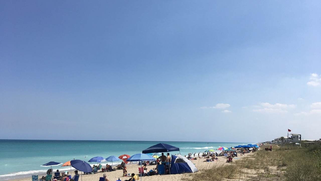 Photo of Others in Jensen Beach