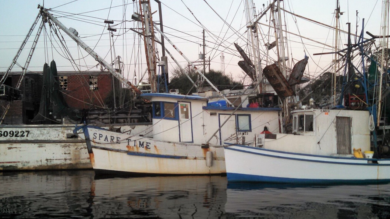 Photo of Others in Carrabelle