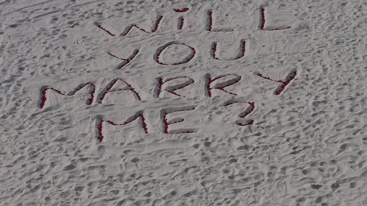 Photo of Others in Pensacola Beach