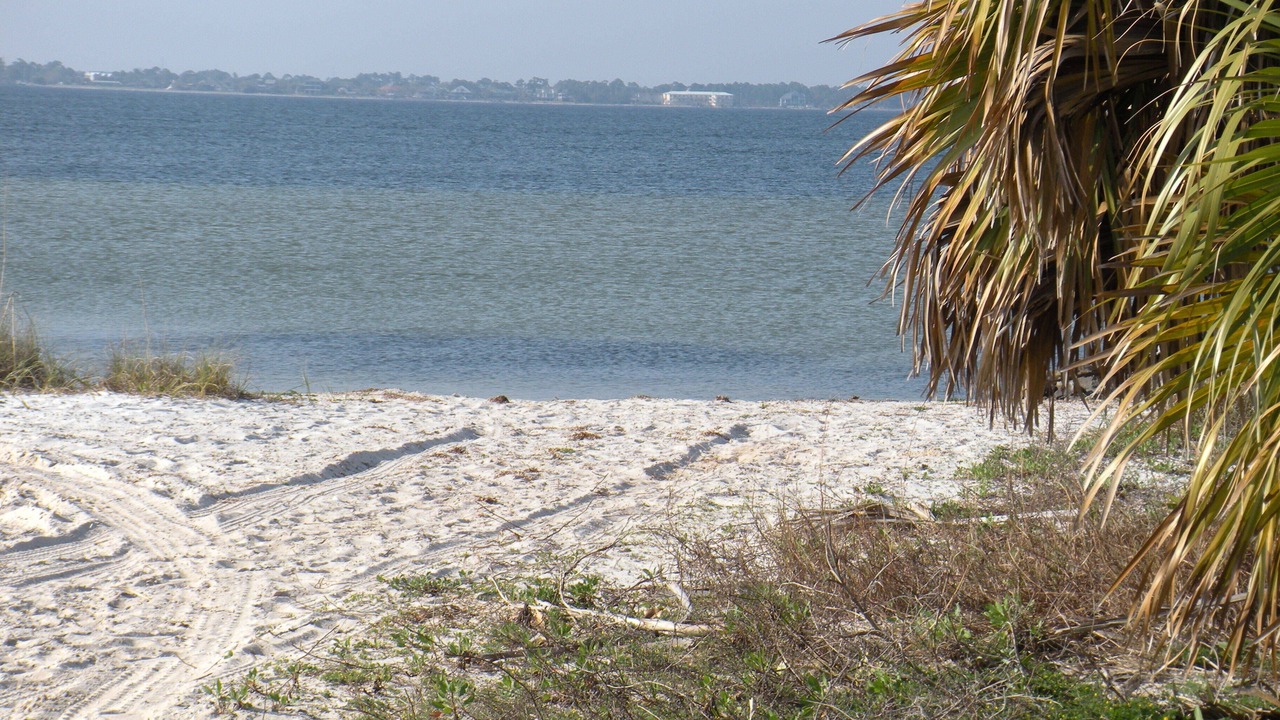 Photo of Others in Pensacola Beach