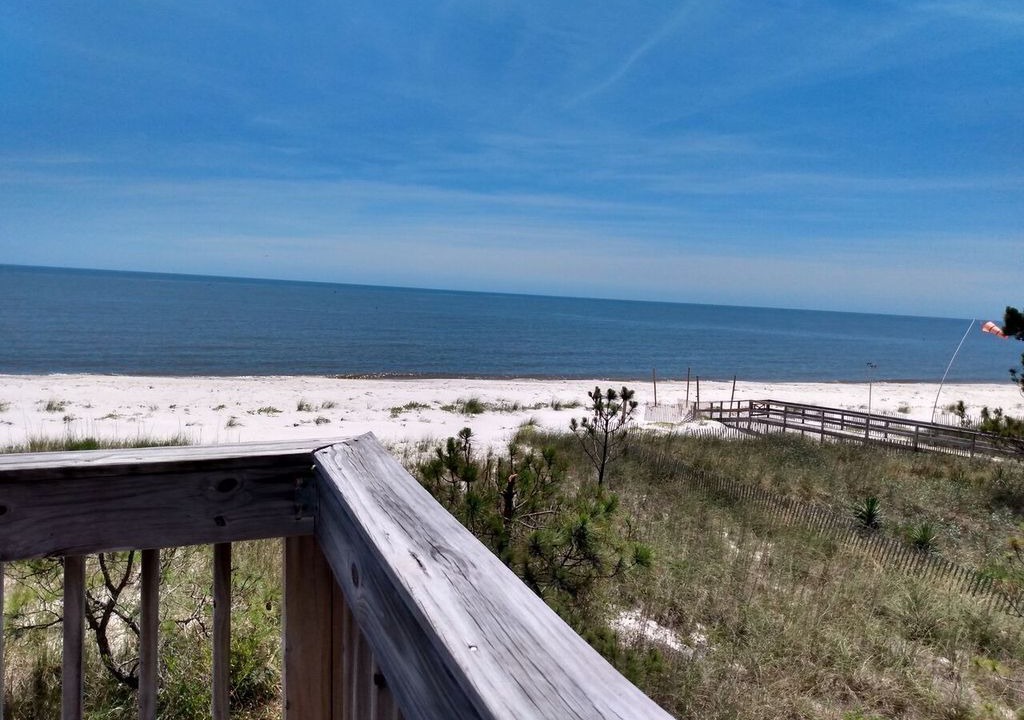Photo of Others in Alligator Point
