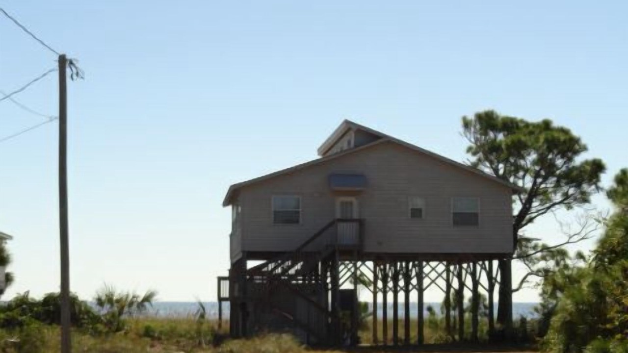 Photo of Others in Alligator Point