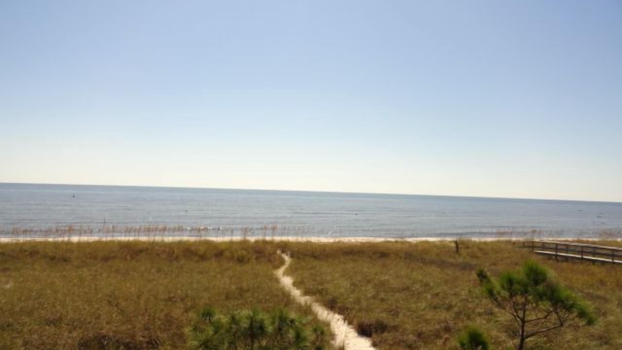 Photo of Others in Alligator Point