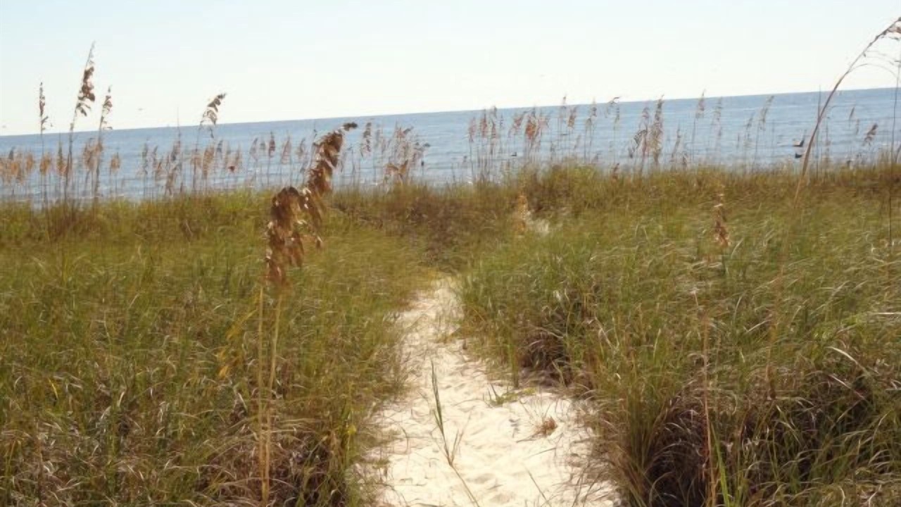 Photo of Others in Alligator Point