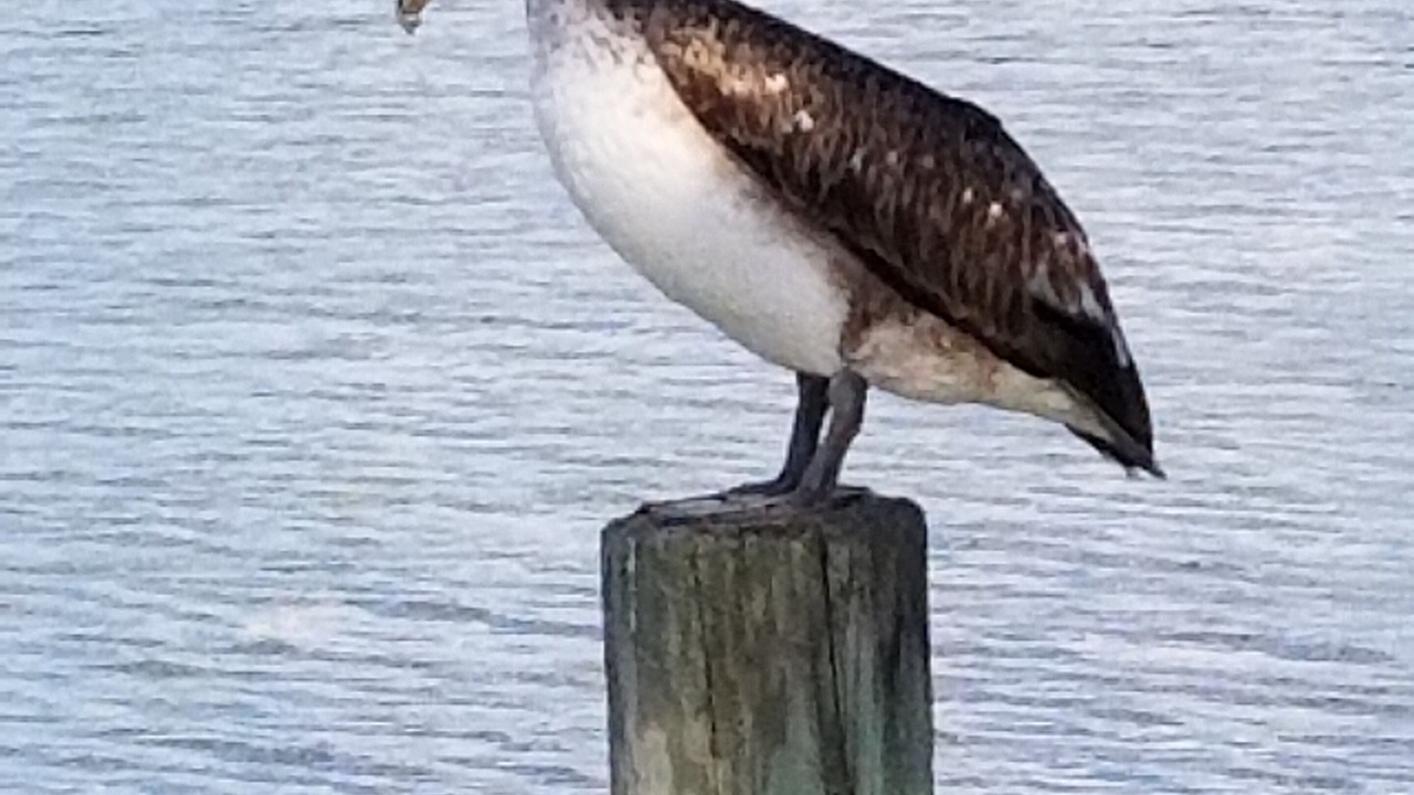 Photo of Others in Englewood