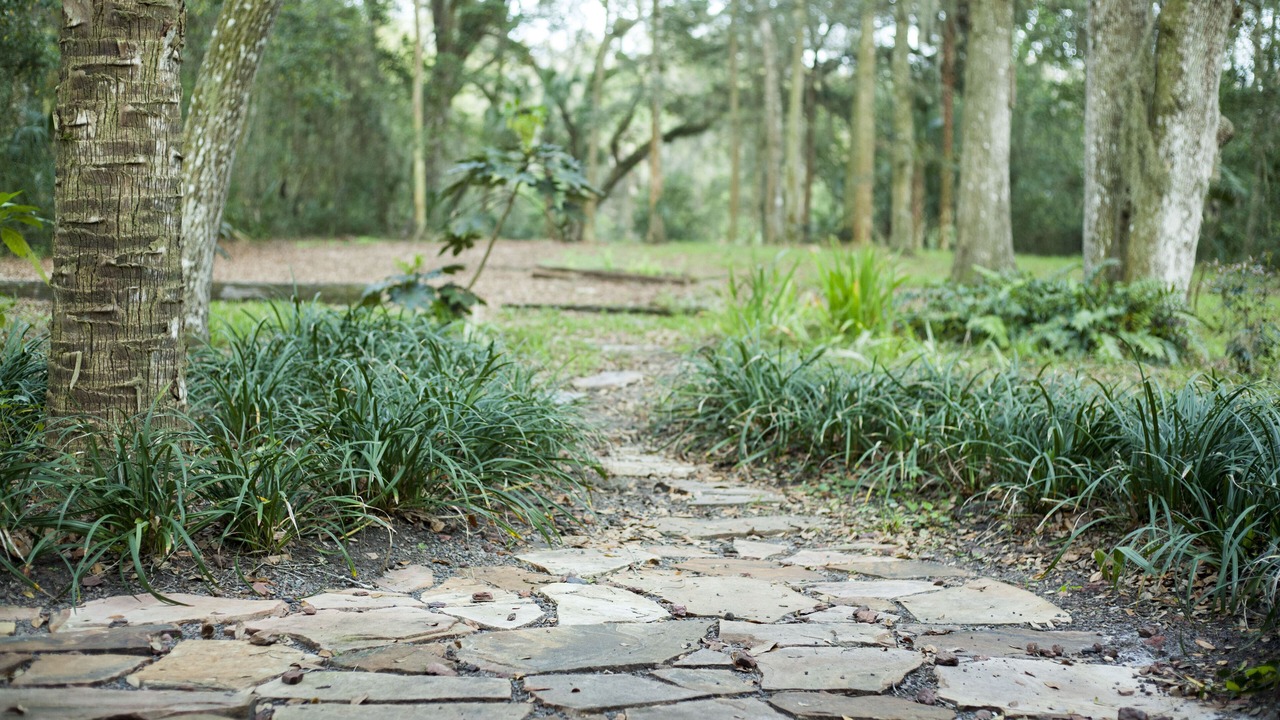 Photo of Others in Ponte Vedra Beach