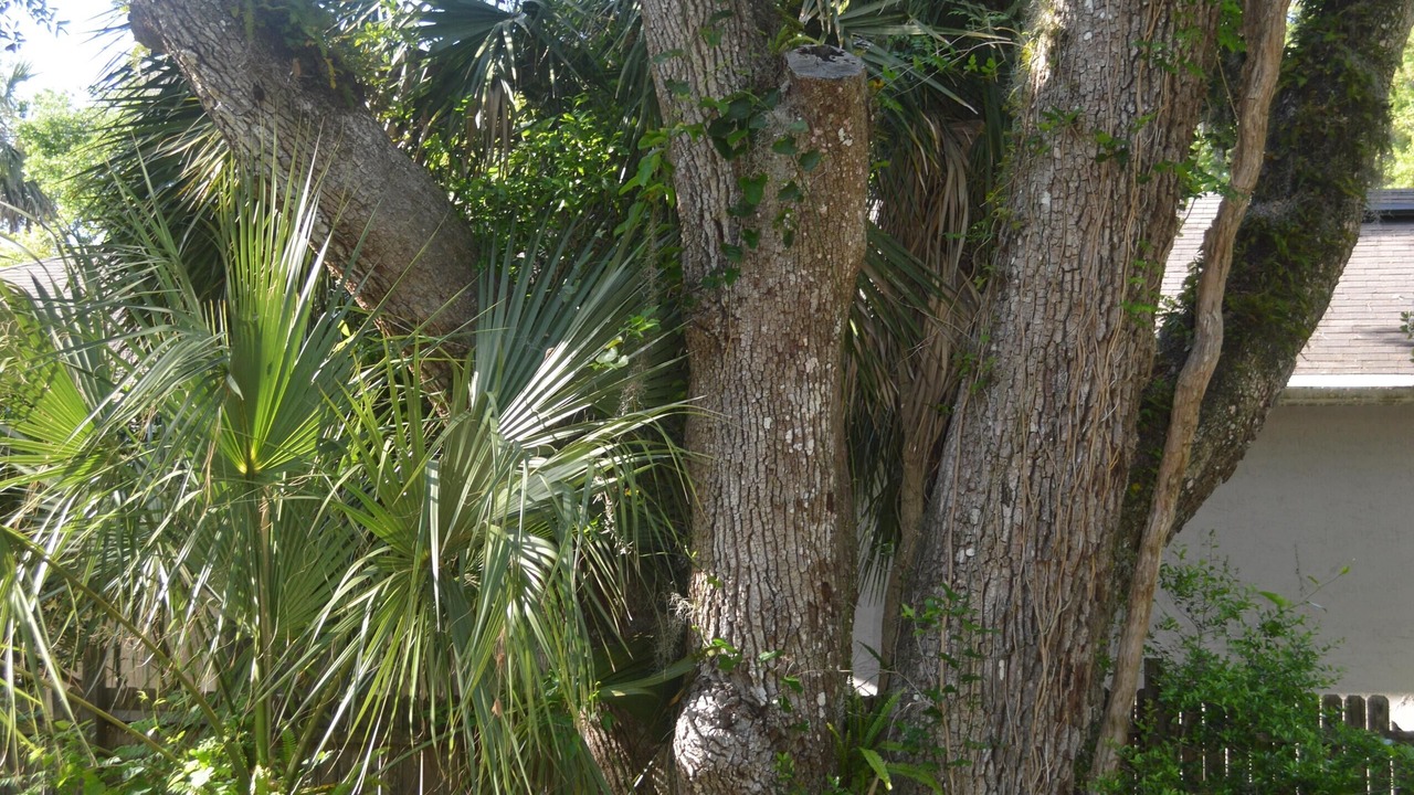 Photo of Others in Ponte Vedra Beach
