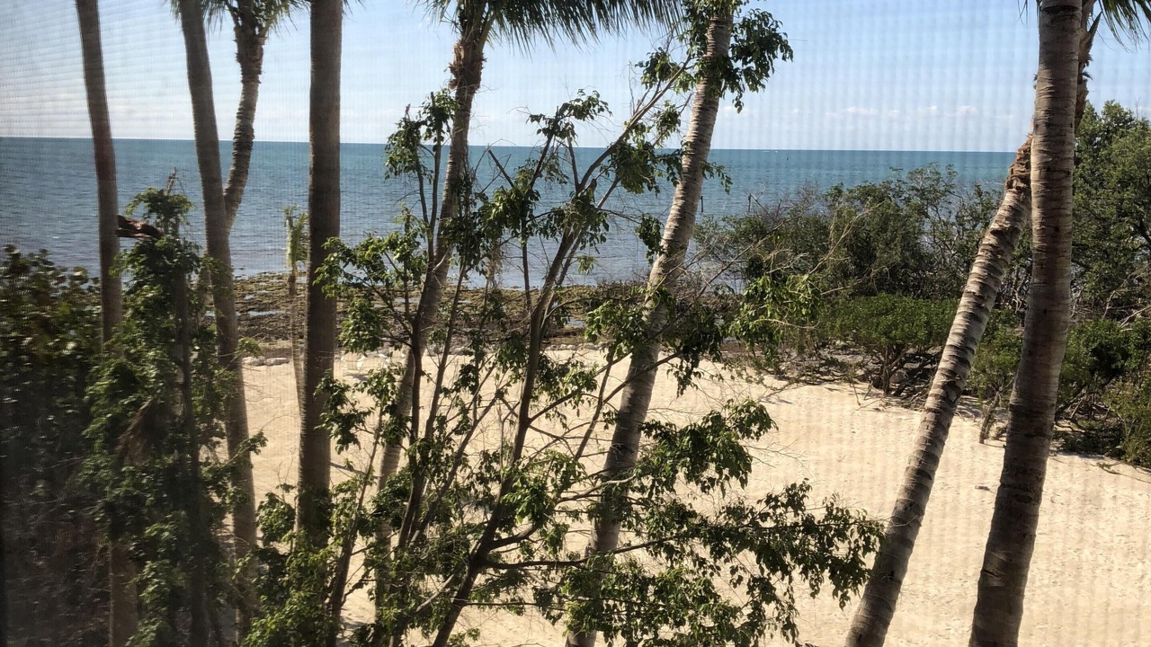 Photo of Others in Plantation by the Sea